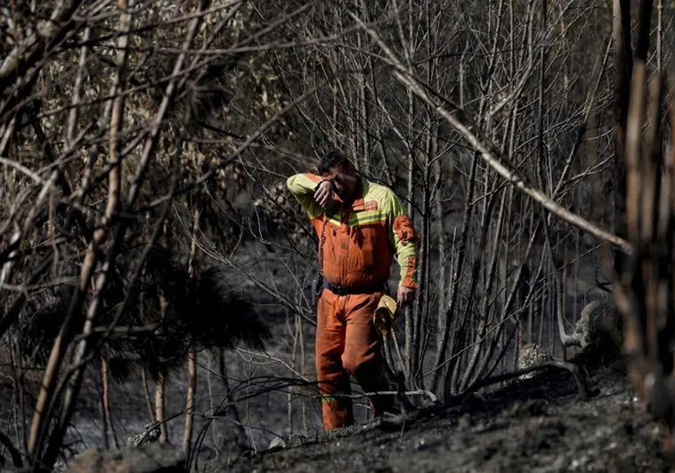 Las llamas no cesan en Asturias, que registra 43 incendios