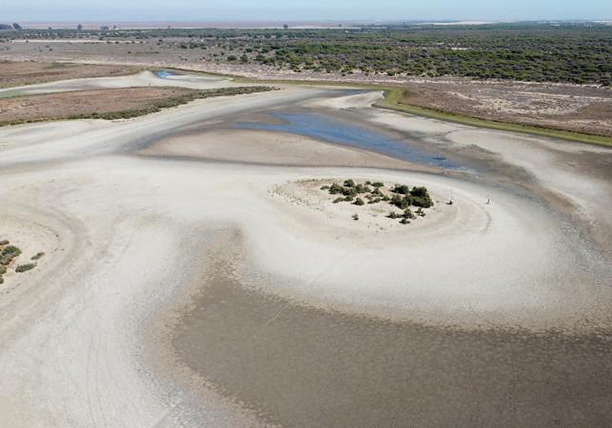 Laguna de Santa Olalla en el Parque Nacional de Doñana