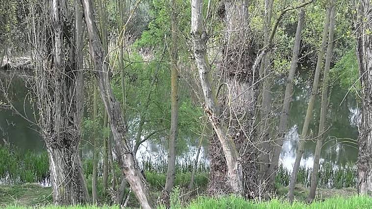 Salamanca cumplirá este lunes con su tradición del Lunes de Aguas, fiesta con orígenes en el S. XVI