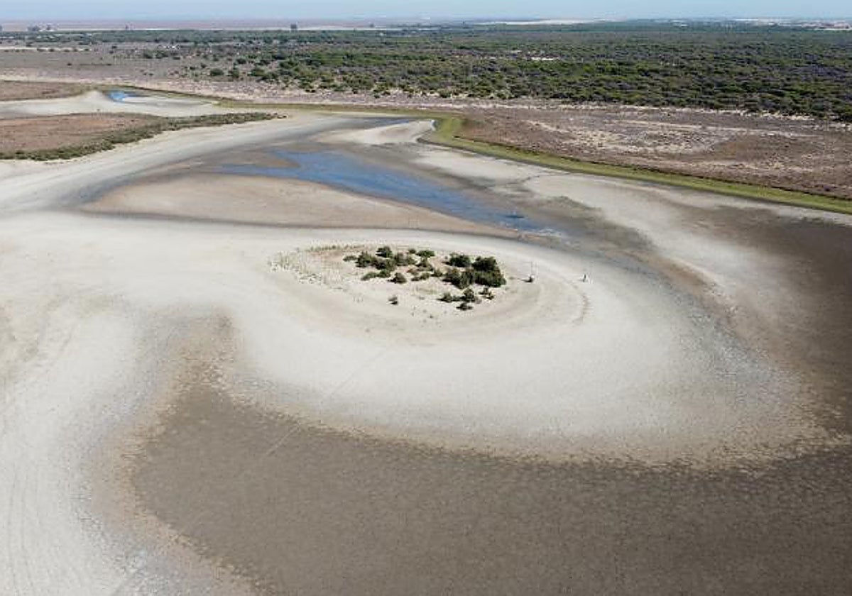 Laguna de Santa Olalla, en Doñana