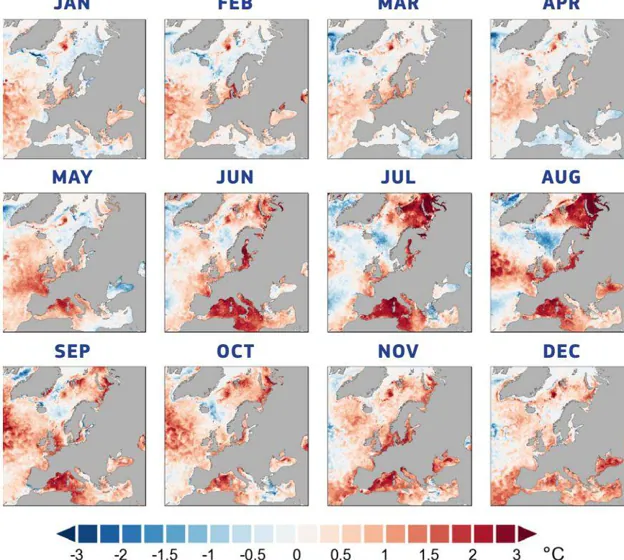 Mapa de anomalías térmicas en el mar por meses de 2022