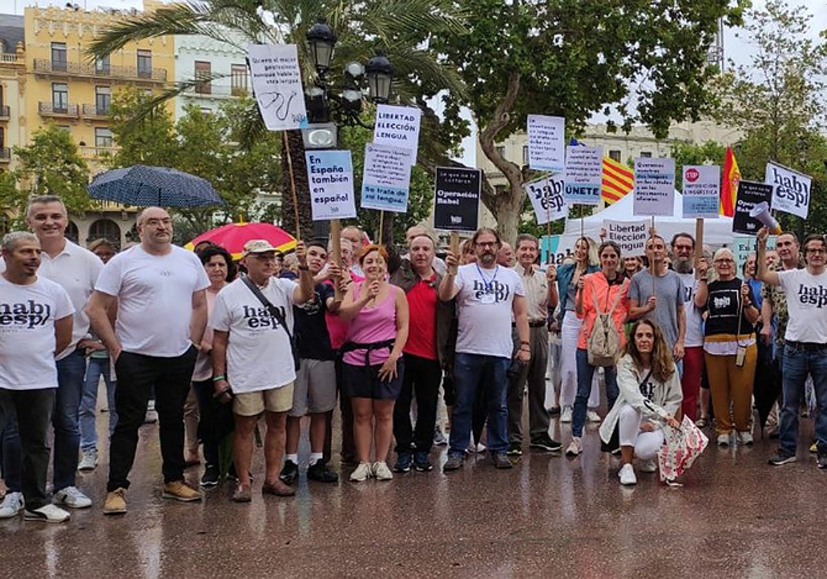 Concentración a favor del español, en Valencia