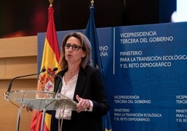 Ribera descarta las permutas en el entorno de Doñana como «una operación especulatoria propiciada por la Junta»