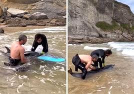 Dos surfistas rescatan a un delfín que estaba varado en una playa de Cantabria