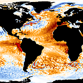 Dos meses insólitos en el océano desatan las dudas científicas