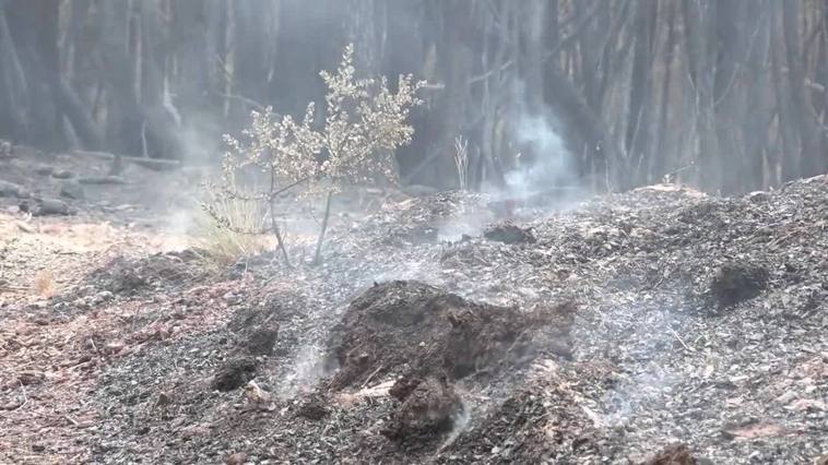 El incendio en Las Hurdes y Gata tiene una "evolución favorable"