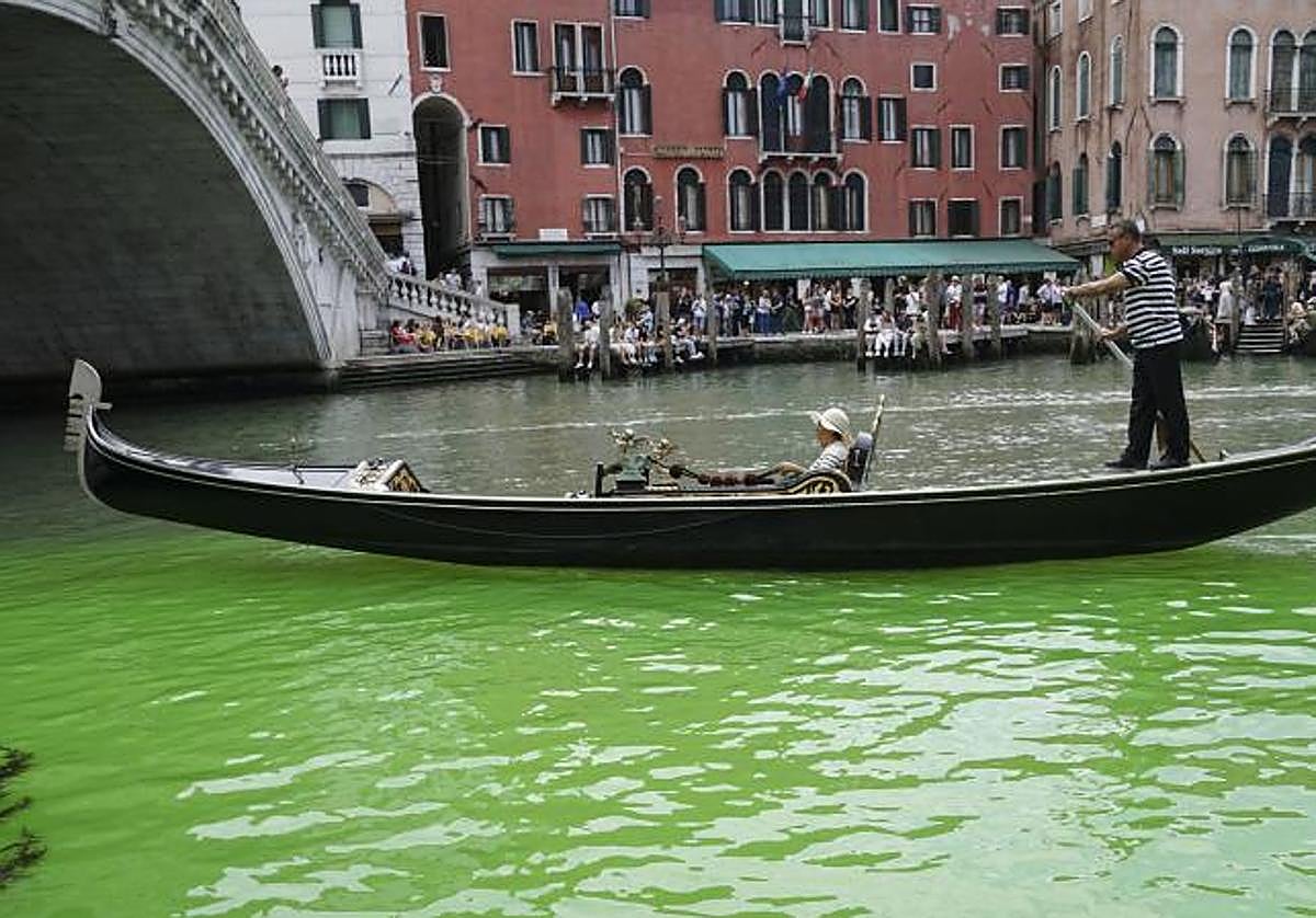 Un gondolero en las aguas del Gran Canal de Venecia teñidas de verde