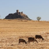El cambio climático causa «daños inaceptables» en la sociedad antes de cruzar los umbrales de seguridad
