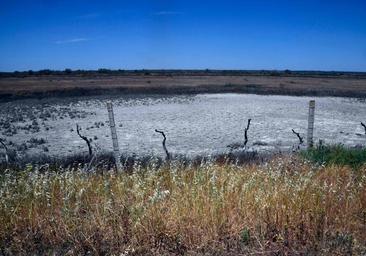 Pedro Sánchez pone la alfombra roja a Alemania para vigilar Doñana