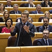 El PP exige a Sánchez parar el desarrollo «apresurado» de la Losu para «no hipotecar el futuro de la universidad»
