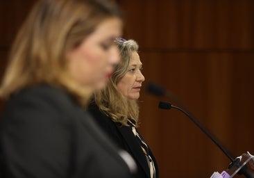 Sólo dos del millar de excarcelados por la 'ley del sólo sí es sí' son controlados por medios telemáticos