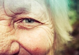 Científicos españoles descubren por primera vez cómo retrasar el envejecimiento de la piel