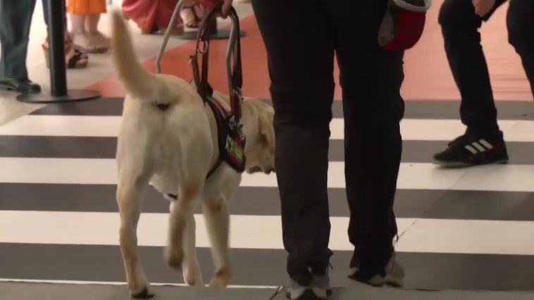 Una exhibición de perros guía abre la Semana del Grupo Social ONCE en Andalucía