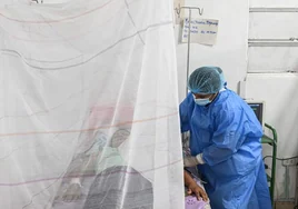 El brote de dengue en Perú satura los hospitales con  200 muertes y más de 130.000 casos