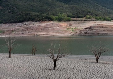 Los embalses suben por primera vez desde marzo: hay un 0,1% más de agua tras semanas de lluvia
