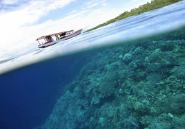 El fenómeno de 'El Niño' ayuda a que los arrecifes de coral sobrevivan en las islas del Pacífico