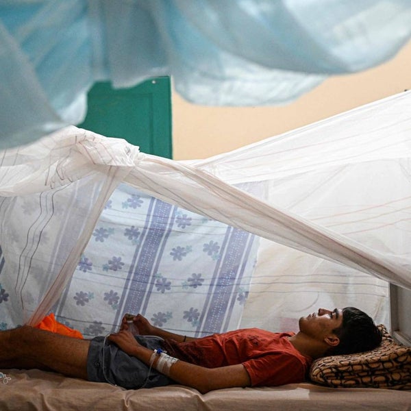 Piura, la ciudad fantasma del dengue: sin colegios y donde los enfermos mueren en 48 horas