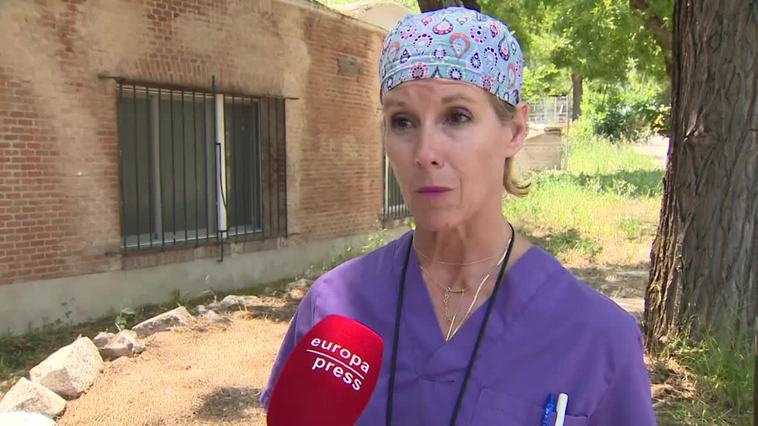 Golpes de calor o ahogamientos, principales riesgos en verano para animales