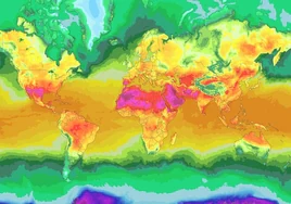 El calor extremo se extiende a lo largo del mundo: sequías, golpes de calor y riesgos para la salud