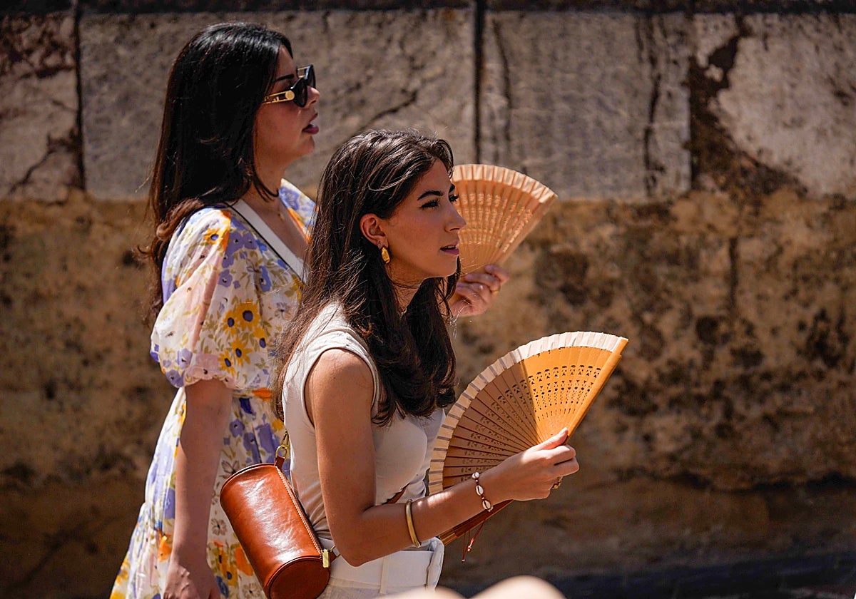 La ola de calor llegó este lunes a su pico con 44 grados