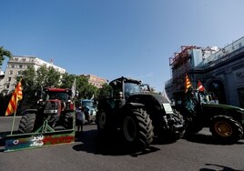Una gran tractorada se dirige al Ministerio de Agricultura en demanda de más ayudas para la sequía