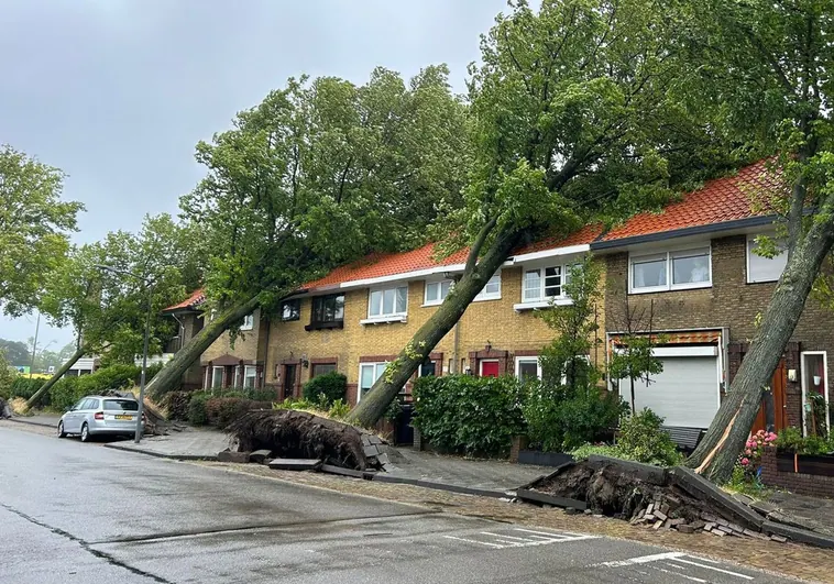 Una calle de Ámsterdam que muestra los daños causados por los árboles