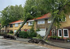 Al menos un muerto en la peor tormenta de verano de la historia de Países Bajos