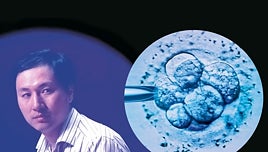 ¿Qué ha sido de los dos primeros bebés modificados genéticamente?