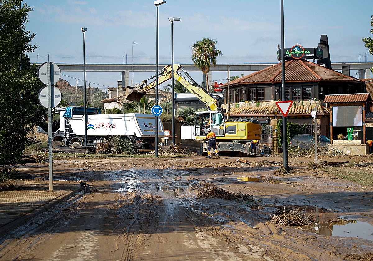 Empleados municipales trabajan en la limpieza este viernes tras la fuerte tormenta caída la tarde de ayer en Zaragoza