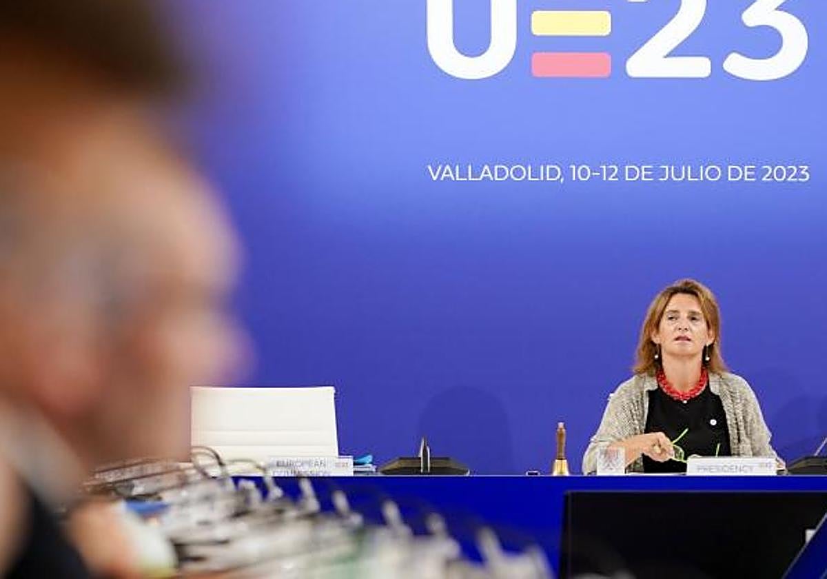 Ribera pide al Parlamento europeo que apoye la polémica ley de restauración de la naturaleza