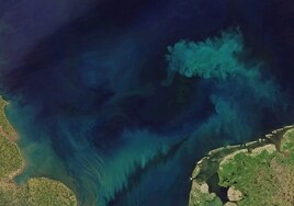 El color del océano está cambiando como consecuencia del cambio climático