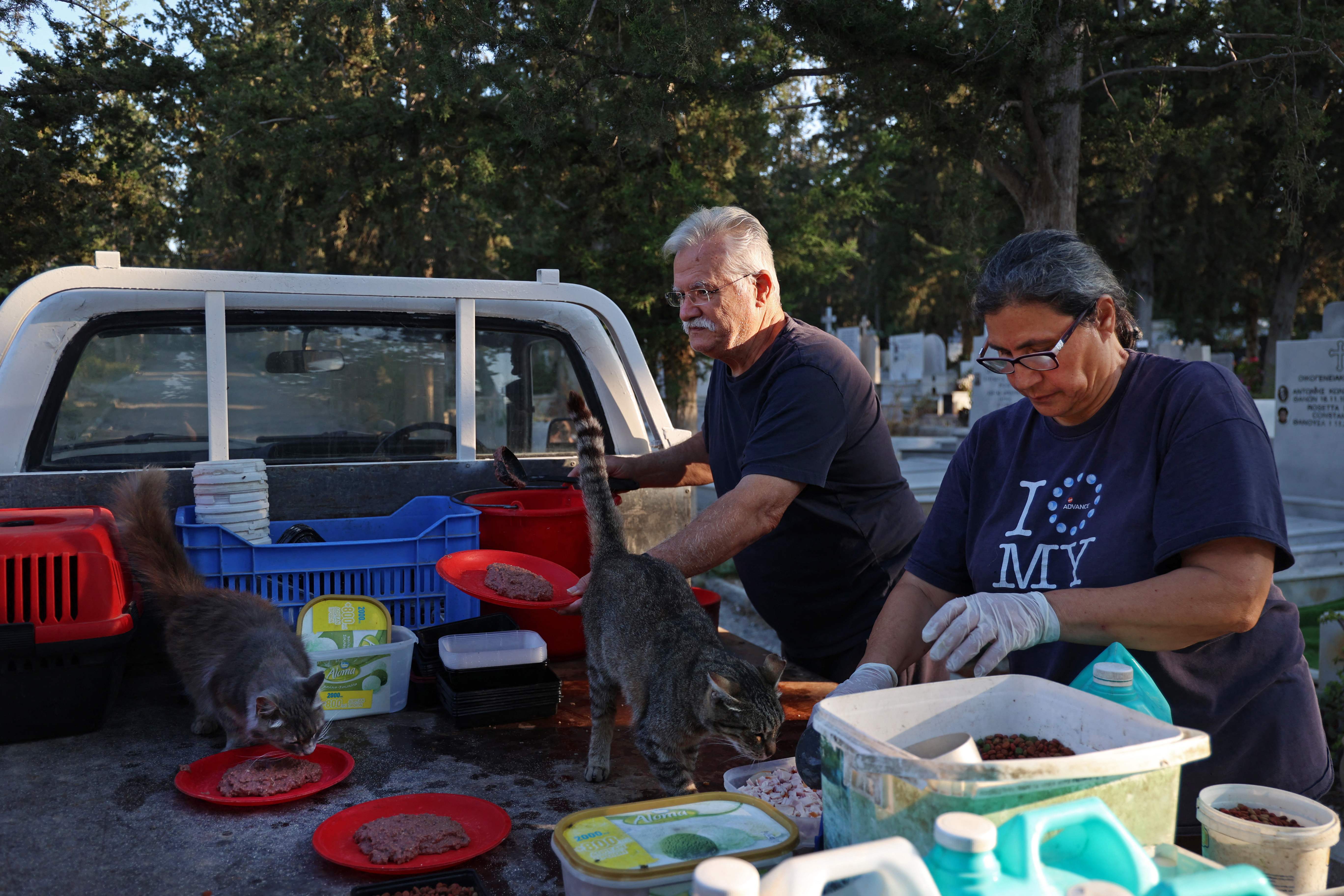 Dinos Agiomamitis y su esposa Aggelika llevan 25 años alimentando cada mañana a unos sesenta gatos callejeros en uno de los mayores cementerios de Nicosia