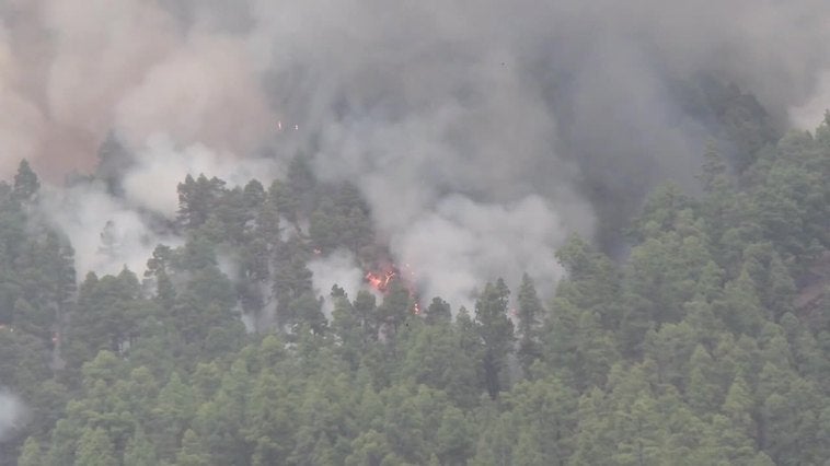 El incendio de La Palma sigue en activo