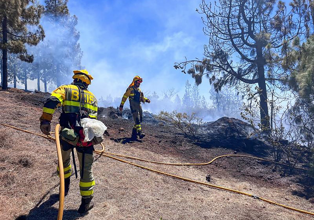 Brigadas de bomberos forestales trabajando en Puntagorda, La Palma