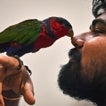 Qué es el listado positivo que regulará los animales que puedes tener como mascota en casa