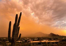 La peor cara del calor en Estados Unidos: Phoenix registra 18 días seguidos con más de 43ºC