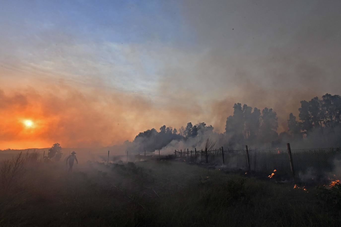 Argelia: el humo de los incendios que asolan la ciudad costera noroccidental de Tabarka cubre el sol en medio de una ola de calor abrasador