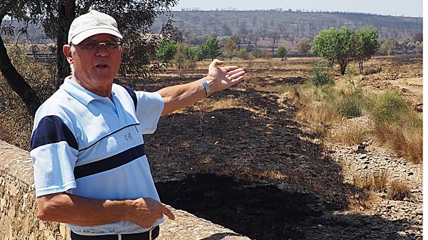 Imagen antes - Domingo Ferreras, vecino de Escober de Tábara, muestra la evolución de un año para otro
