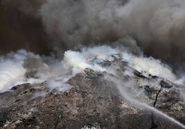 Los incendios no dan tregua a Grecia: se desatan 55 más en las últimas 24 horas