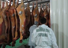 Un detenido y tres investigados tras hallar 1.200 kilos de carne en mal estado en Illueca (Zaragoza)