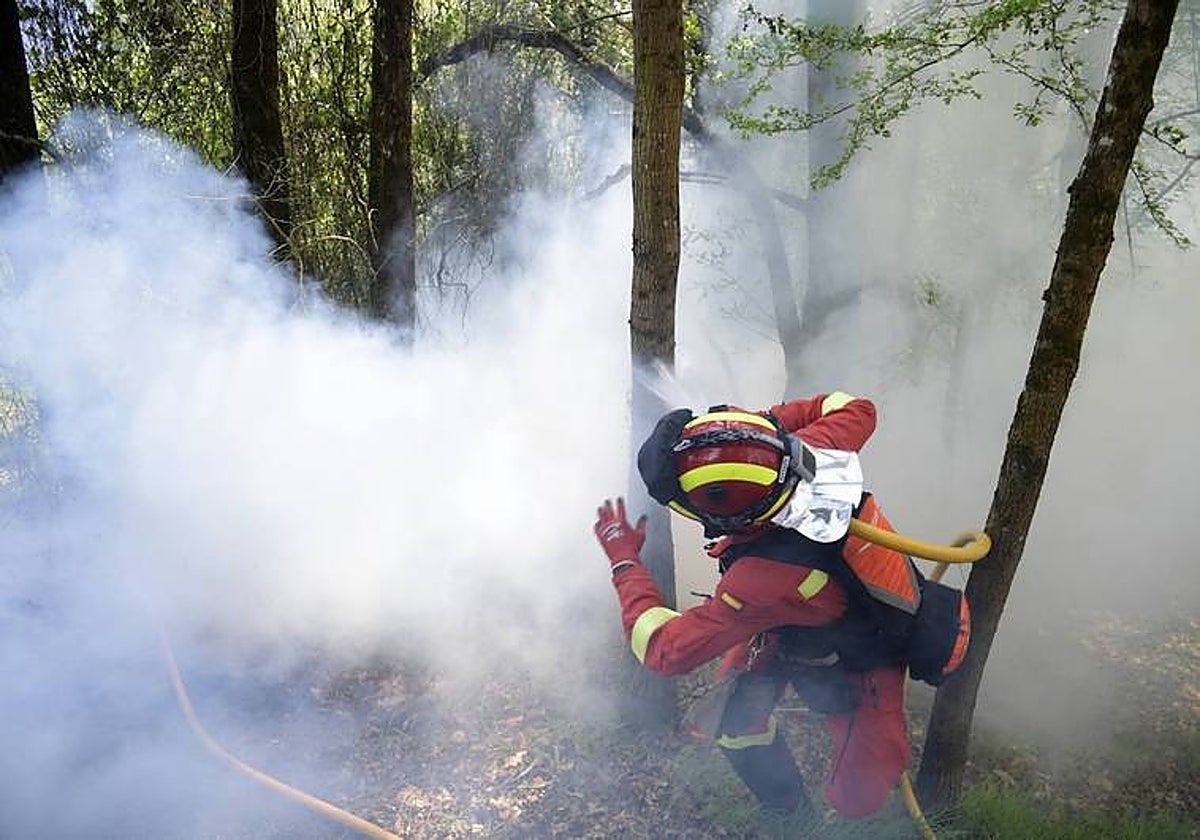 Un bombero participa en la extinción de los fuegos en Asturias en una imagen de archivo