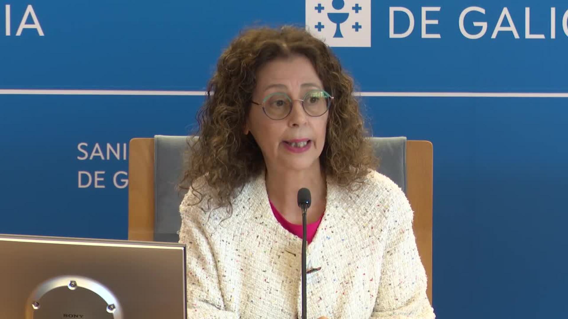 Sanidade confirma que los ocho mosquitos tigre encontrados en Galicia no portaban enfermedades