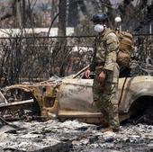 Veteranos del 11-S acuden a Maui para colaborar en la búsqueda de víctimas, con 1.300 personas sin localizar