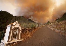 1.200 hectáreas quemadas y cuatro municipios evacuados: las imágenes del incendio que arrasa Tenerife