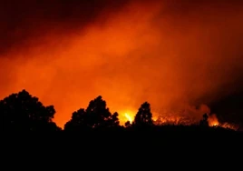 El incendio sin control de Tenerife, en imágenes