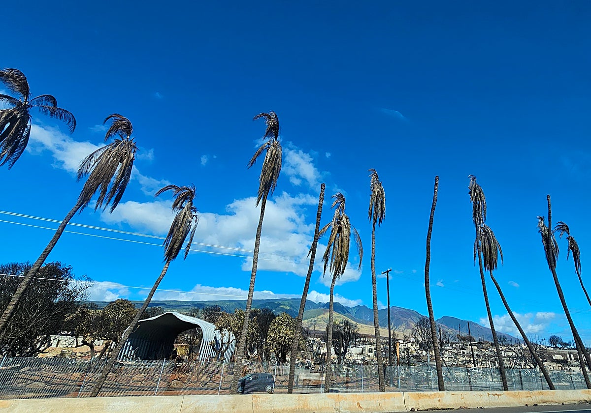 Lahaina ha quedado calcinado