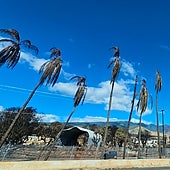 Lahaina: el paraíso hawaiano convertido en crematorio