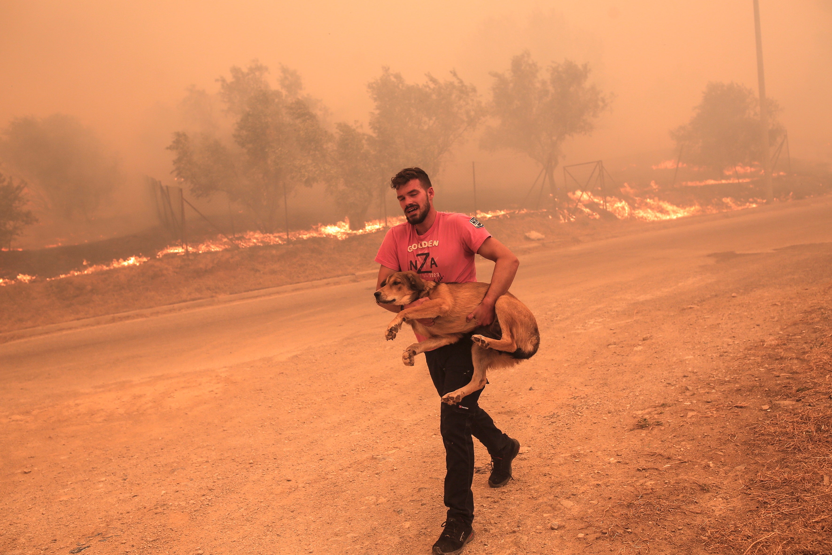 Un granjero evacua a su perro durante los incendios en la zona de Fyli, cerca de Atenas 