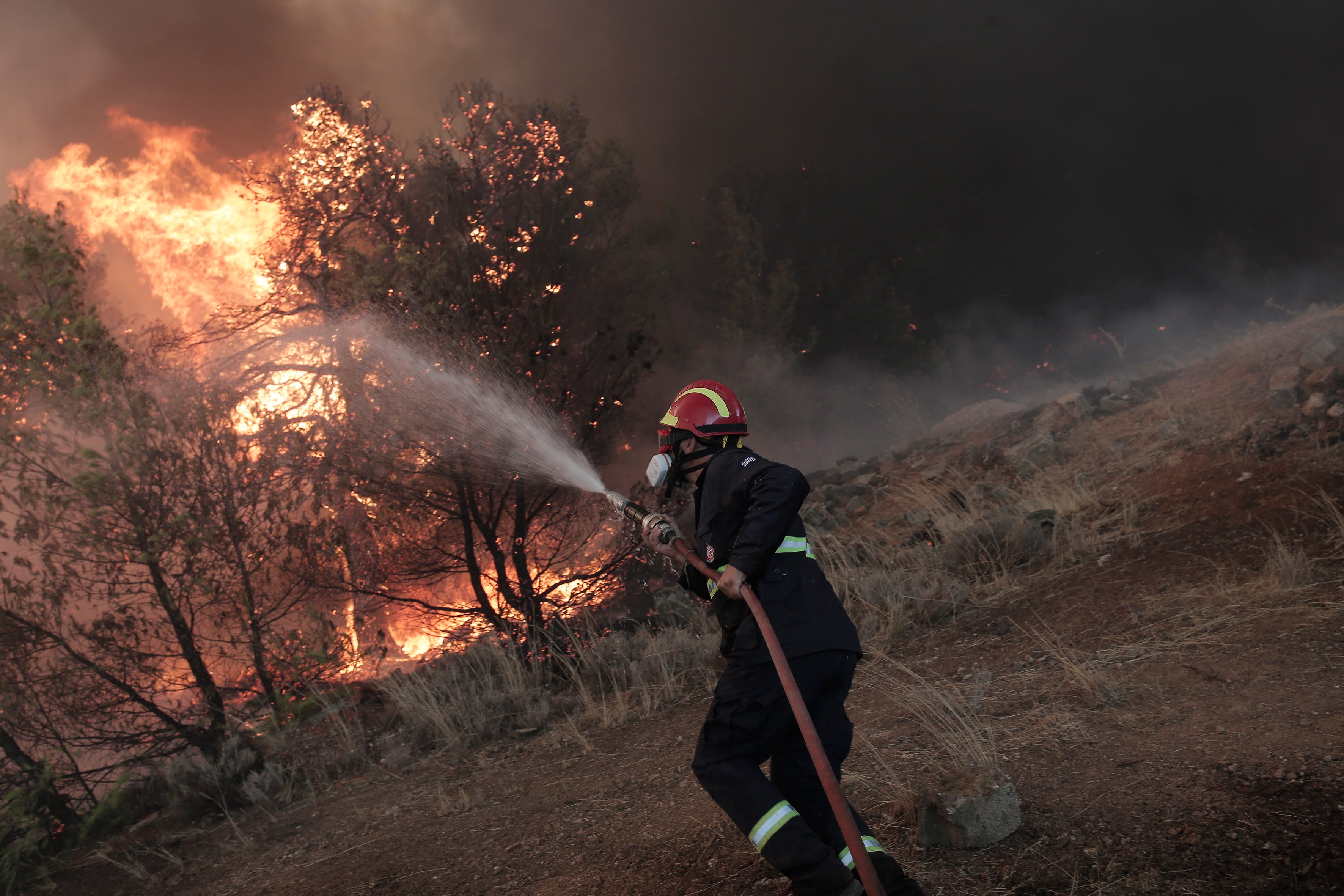 Un bombero luchando contra las llamas del incendio forestal en la zona de Fyli, cerca de Atenas 