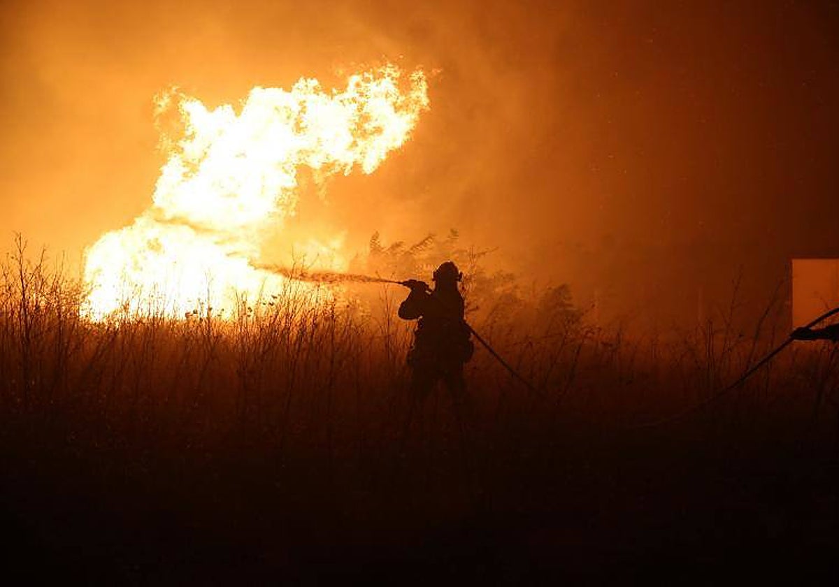 Un bombero intenta extinguir un incendio forestal en la región de Evros, Grecia